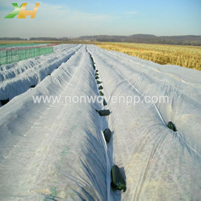 non woven agriculture